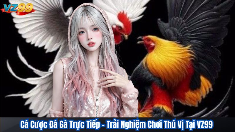 Cá Cược Đá Gà Trực Tiếp – Trải Nghiệm Chơi Thú Vị Tại VZ99