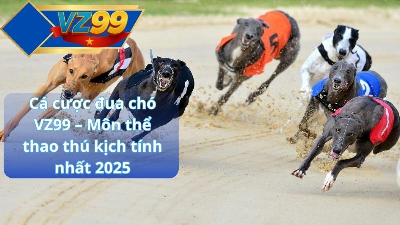 Cá cược đua chó VZ99 – Môn thể thao thú kịch tính nhất 2025 1 Cá cược đua chó VZ99 – Môn thể thao thú kịch tính nhất 2025